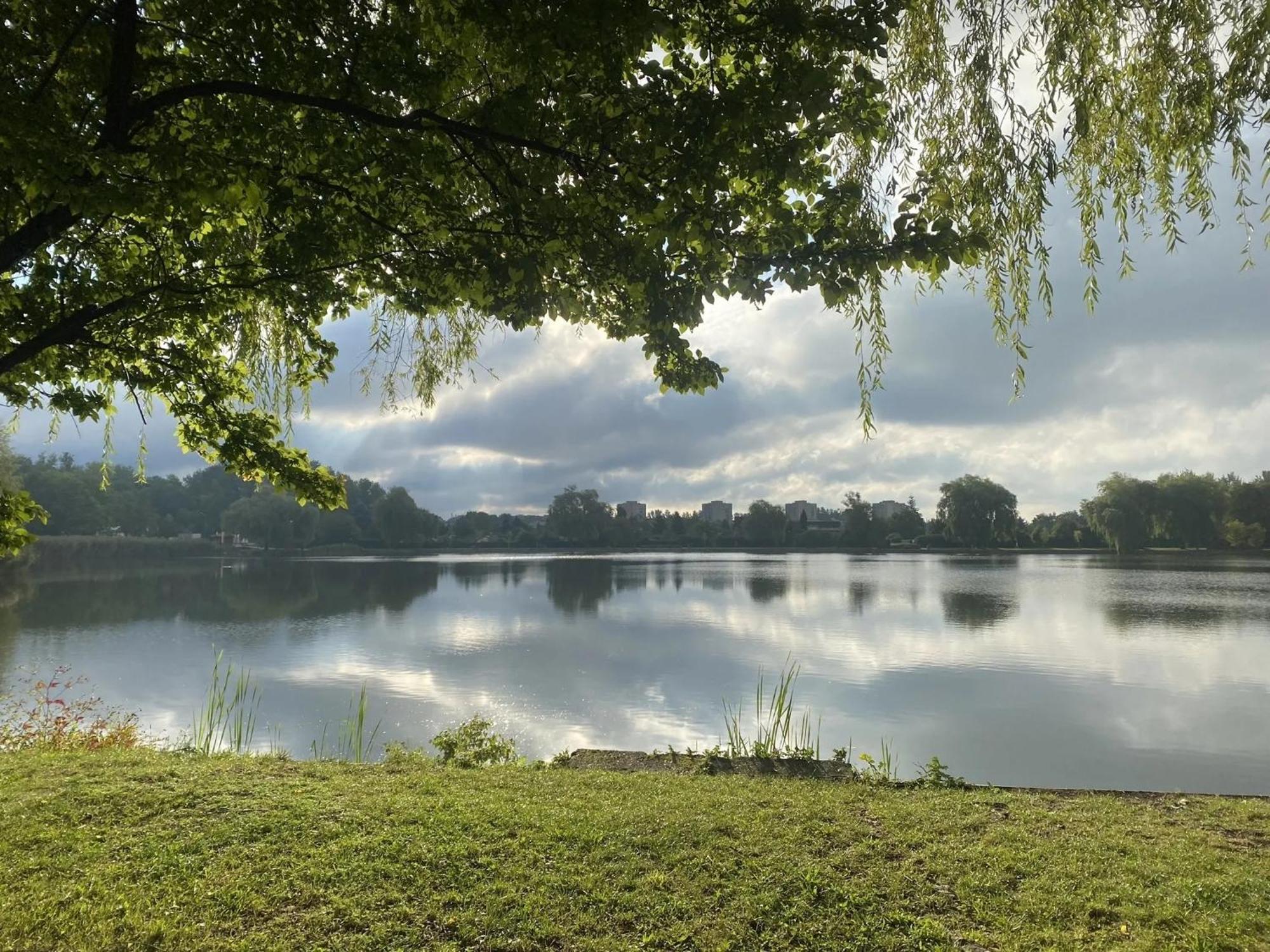 Studio Park Katowice/خوجوف المظهر الخارجي الصورة